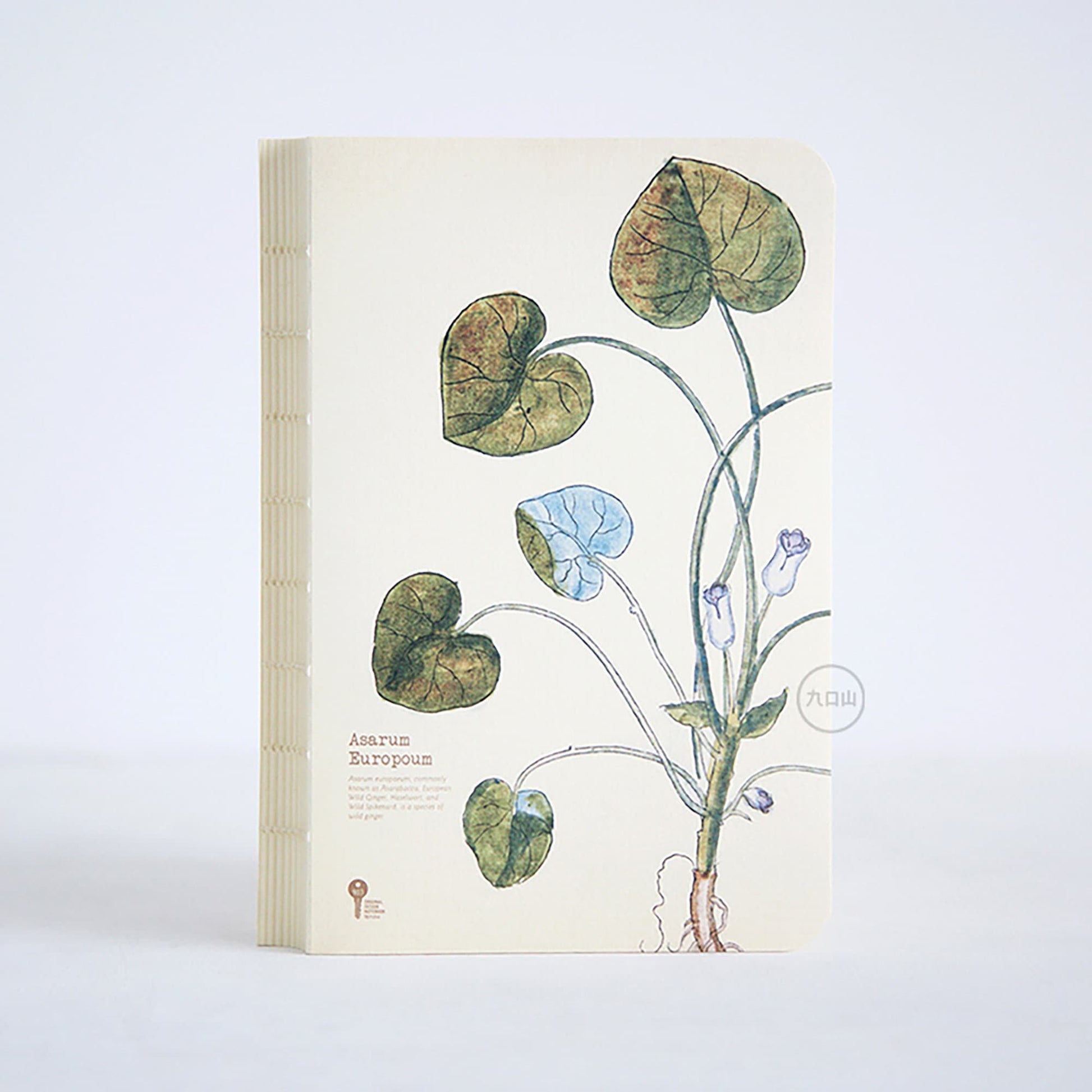 Asarum Europoum| Hand Drawn Style Notepad | Hand Drawn Plants | Journal | Blank Notebook |