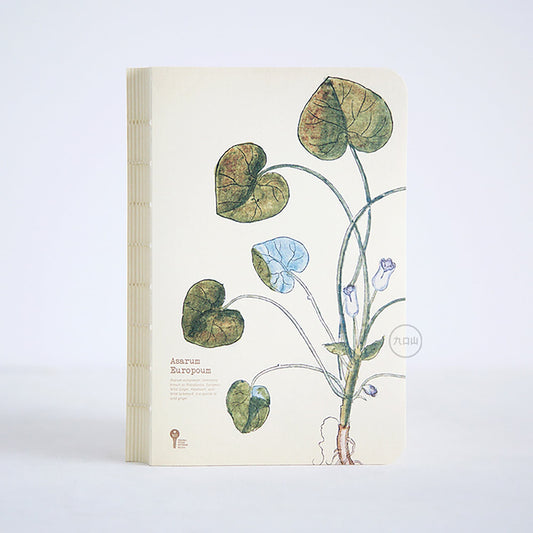 Asarum Europoum| Hand Drawn Style Notepad | Hand Drawn Plants | Journal | Blank Notebook |