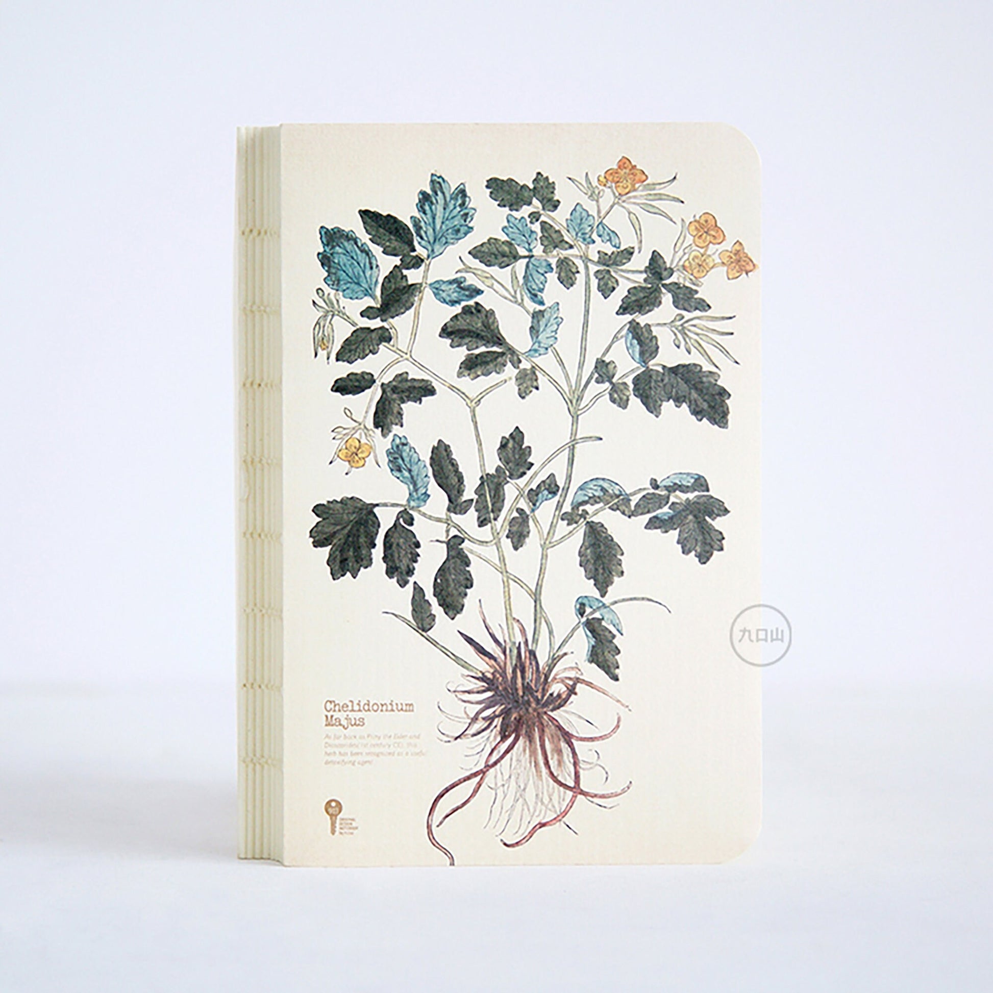 Asarum Europoum| Hand Drawn Style Notepad | Hand Drawn Plants | Journal | Blank Notebook |