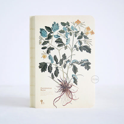 Asarum Europoum| Hand Drawn Style Notepad | Hand Drawn Plants | Journal | Blank Notebook |