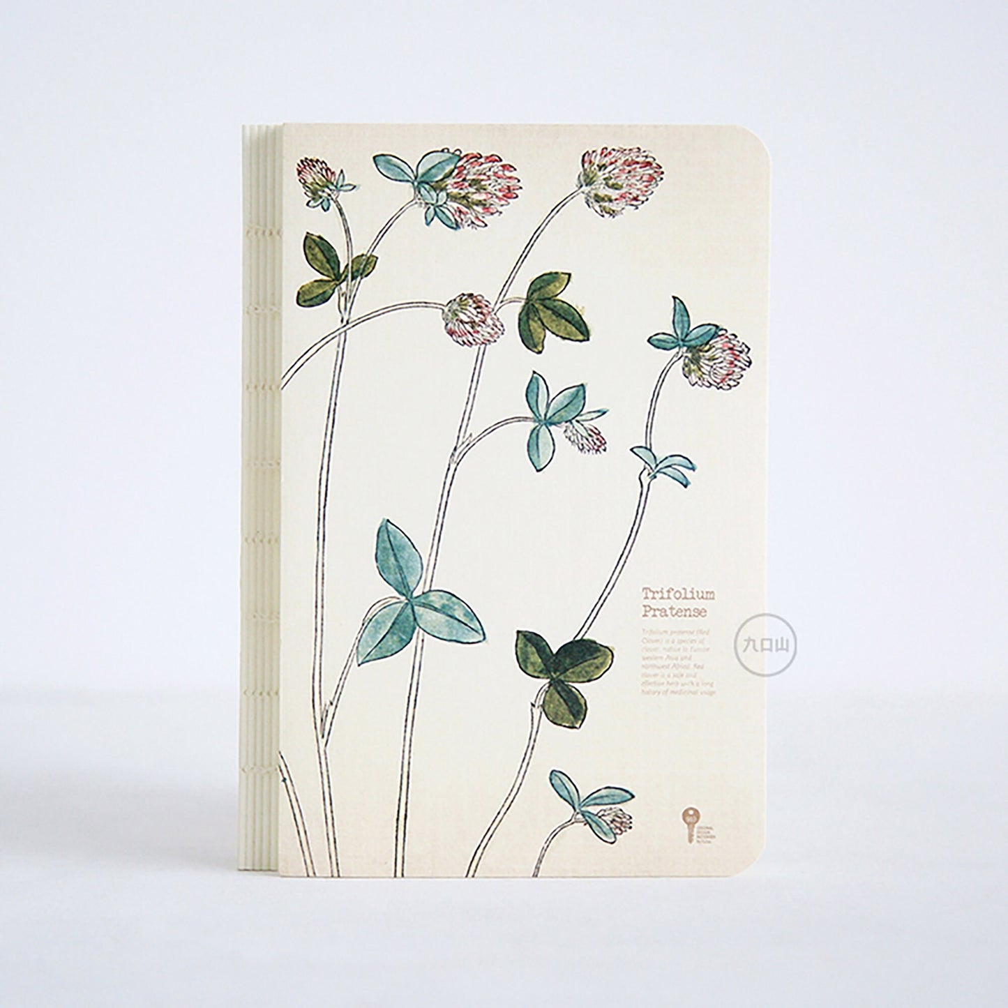 Asarum Europoum| Hand Drawn Style Notepad | Hand Drawn Plants | Journal | Blank Notebook |